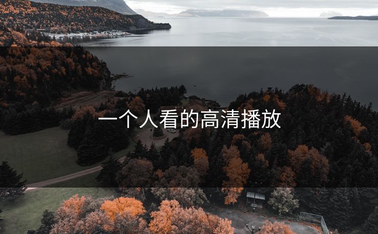 一个人看的高清播放