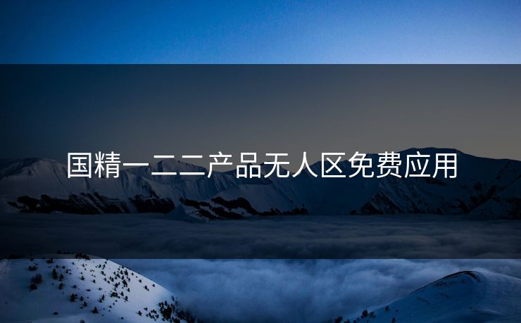 国精一二二产品无人区免费应用