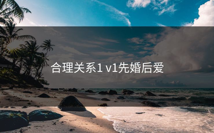 合理关系1 v1先婚后爱