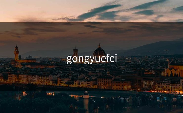 gongyuefei