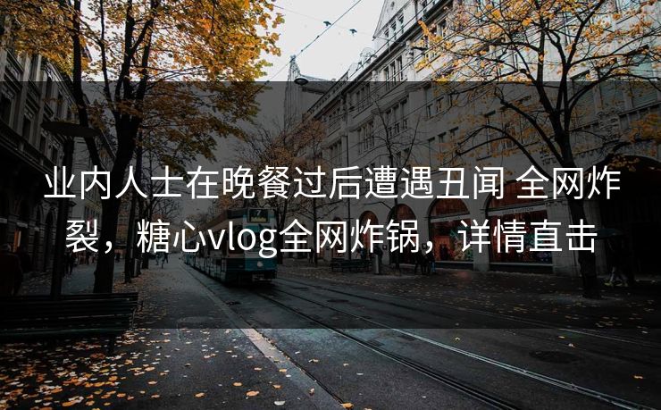 业内人士在晚餐过后遭遇丑闻 全网炸裂，糖心vlog全网炸锅，详情直击