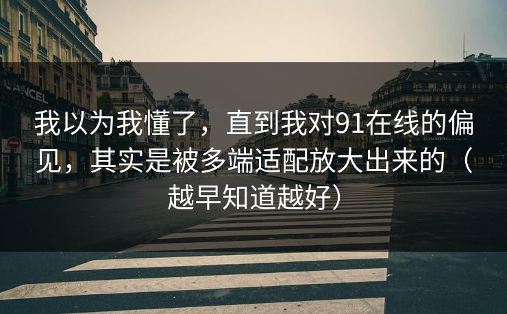 我以为我懂了，直到我对91在线的偏见，其实是被多端适配放大出来的（越早知道越好）
