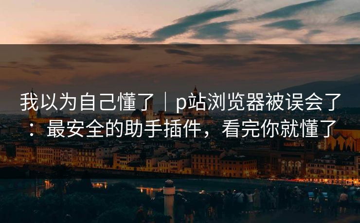 我以为自己懂了｜p站浏览器被误会了：最安全的助手插件，看完你就懂了